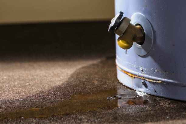 Best Water damage contractors near me  in Warren Af, WY
