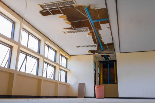 Best Mold removal after water damage  in Warren Af, WY