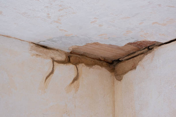 Best Mold removal after water damage  in Warren Af, WY