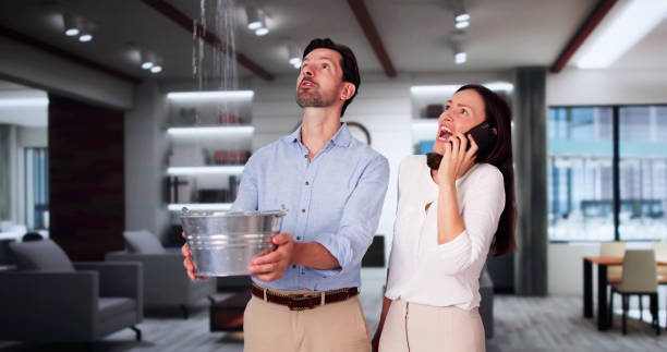 Best Ceiling water damage repair  in Warren Af, WY